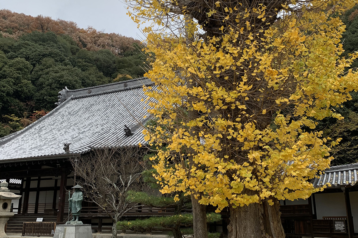 Shorenji Temple (照蓮寺) 2