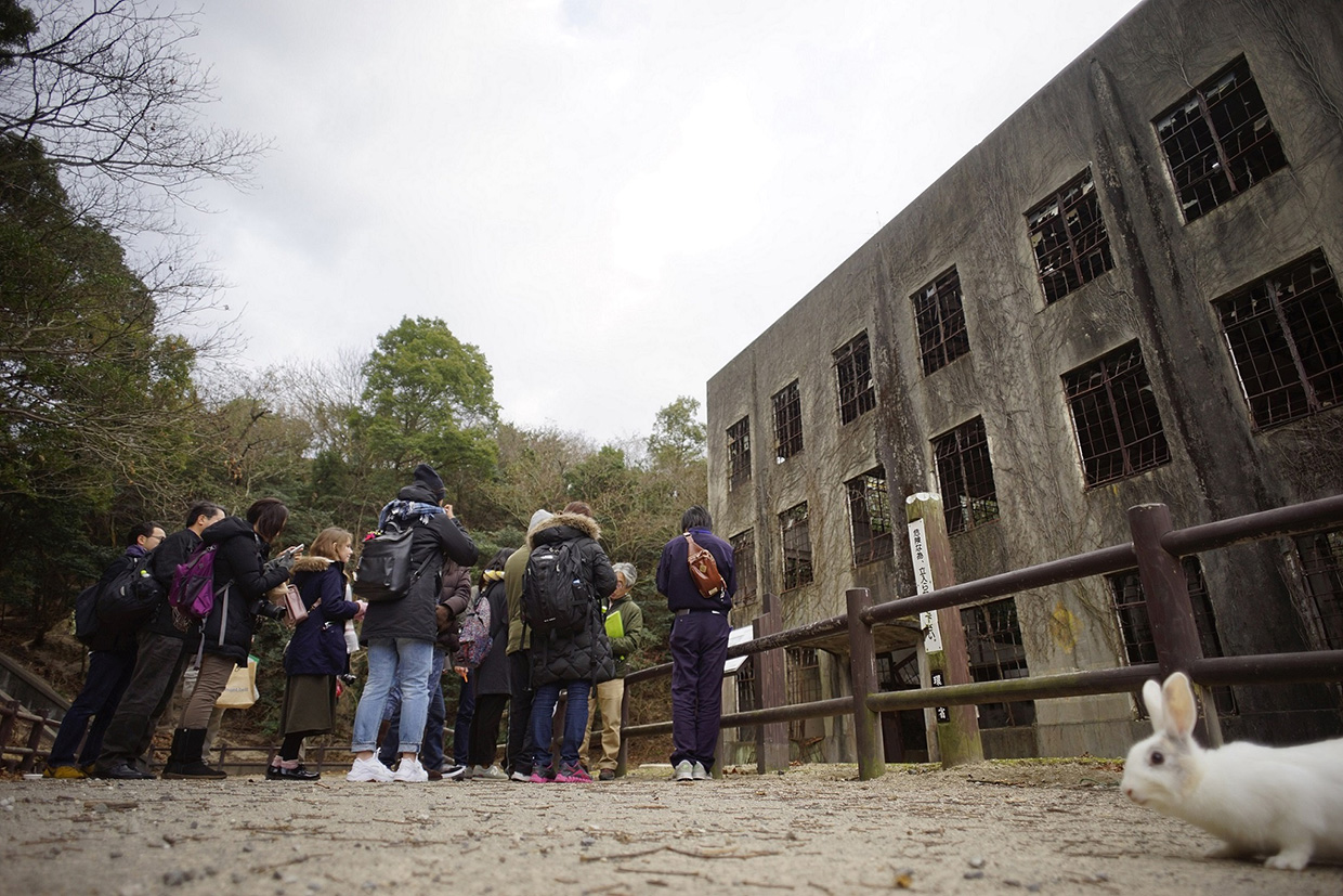 Ohkunoshima Island (大久野島) 2