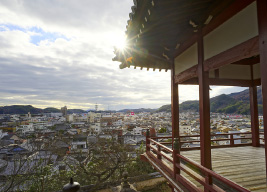 Panoramic View of the Town2