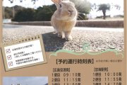広島空港⇔忠海駅（大久野島）新規路線開設のお知らせ