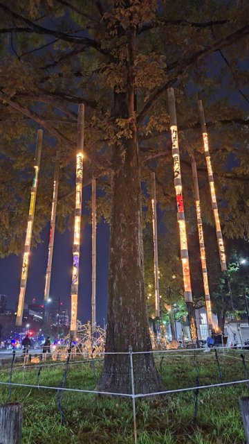 たけはら憧憬の路×ひろしまドリミネーションのコラボについて