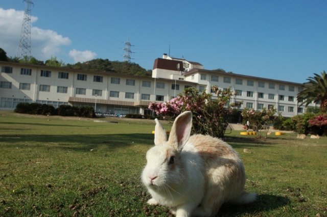 休暇村大久野島