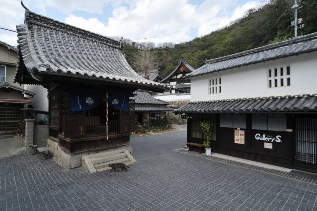 胡堂