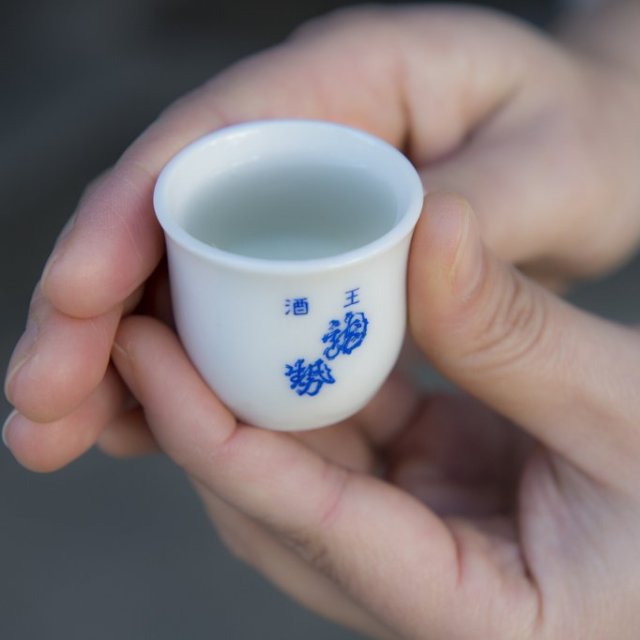 試飲《藤井酒造-酒蔵交流館-》