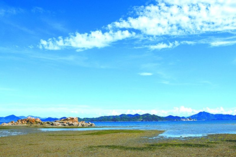 ハチ岩