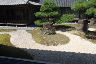 お庭の様子