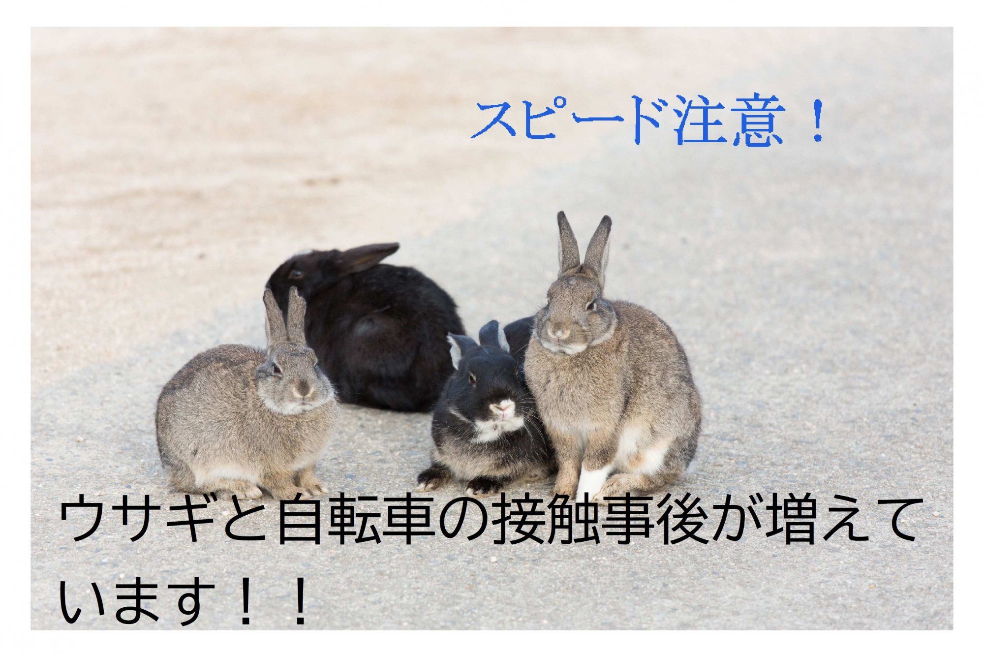 スピードの出しすぎに中止してください！