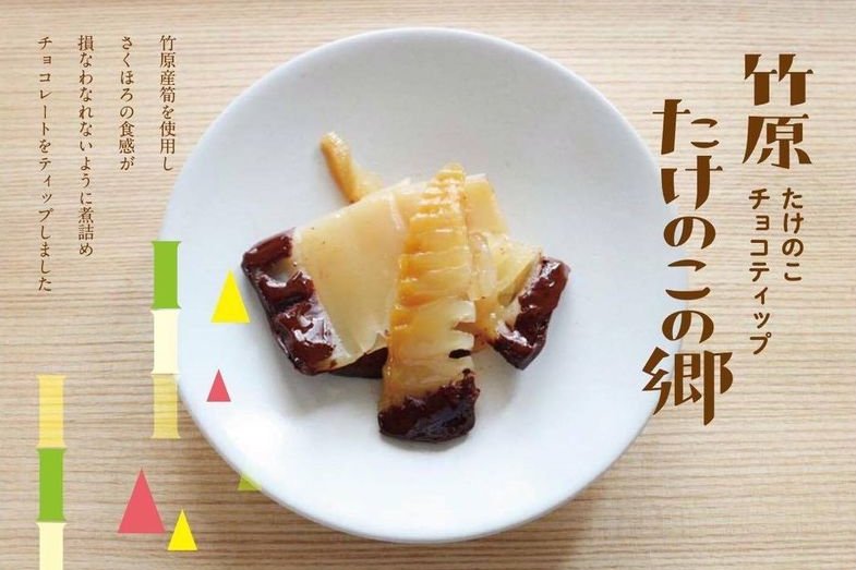 たけのこの郷　たけのこチョコティップ