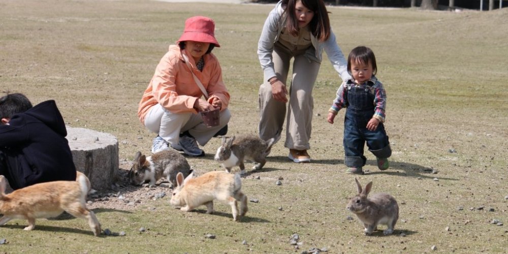 特に小さなお子様がうさぎに近づかれる際は、十分お気をつけください。