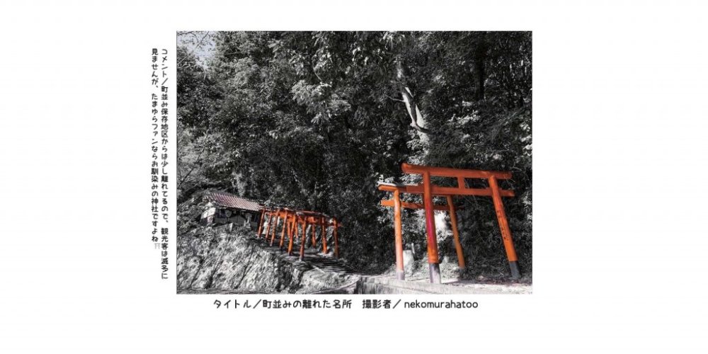 入選作品