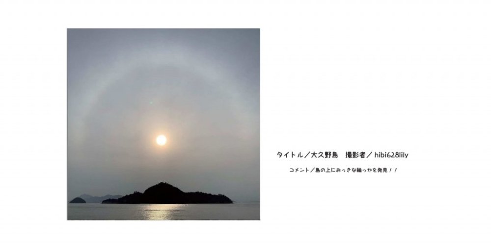 入選作品