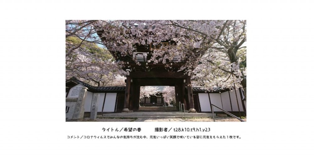 入選作品