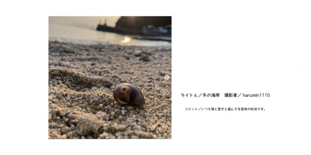 入選作品