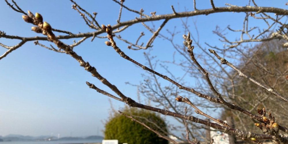 的場海浜公園