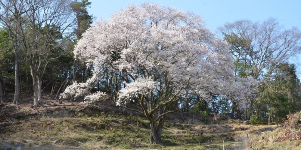 2021年　提供写真