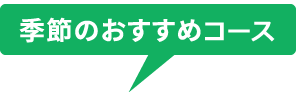 季節のおすすめコース