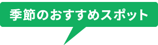 季節のおすすめスポット