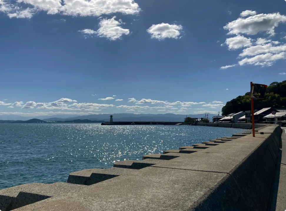 오쿠노시마 길가에서 이쪽을 바라보는 사랑스러운 야생 토끼