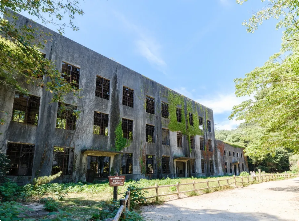 나무들에 둘러싸인 폐허가 된 발전소 터의 전경