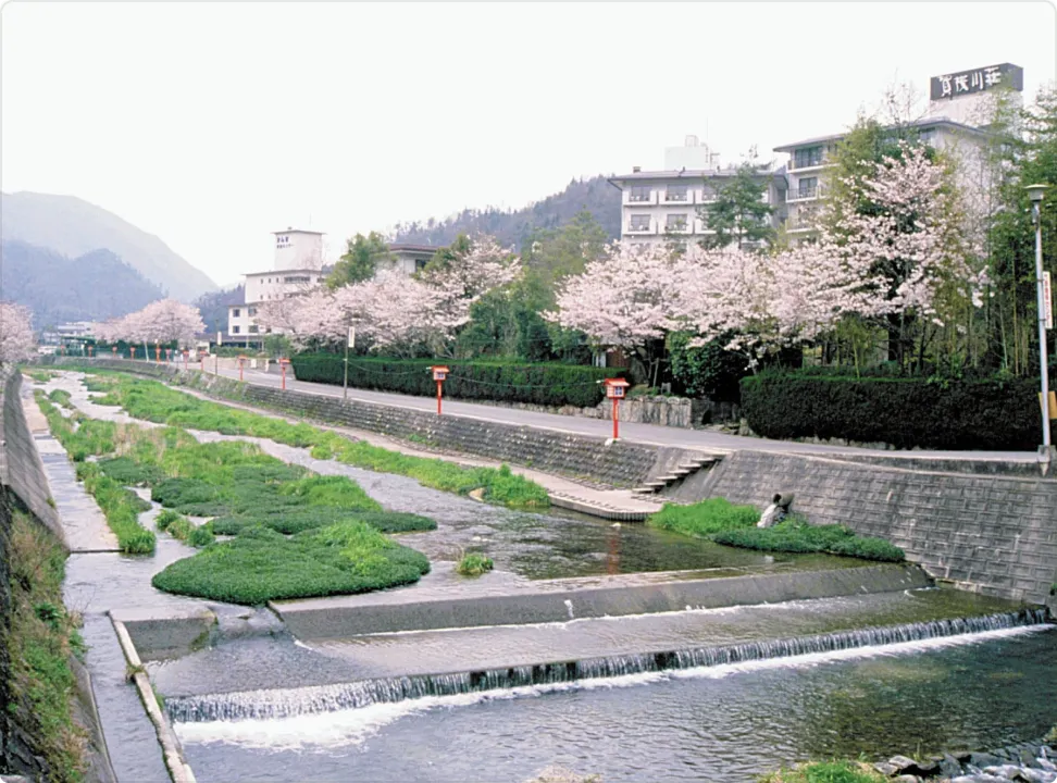 풍요로운 자연에 둘러싸인 산속에 자리한 유사카 온천향의 숙박 시설과 아름답게 정비된 정원의 전경.