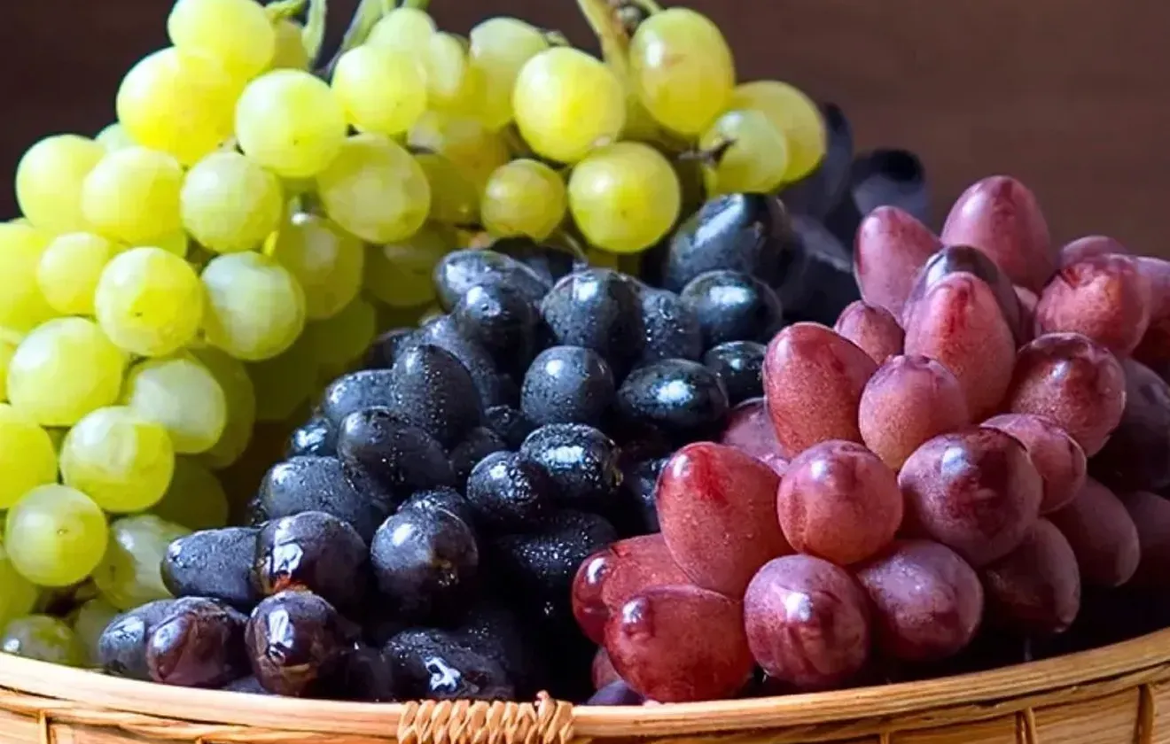 シャインマスカットやピオーネなど、カゴに盛られた大粒のぶどう