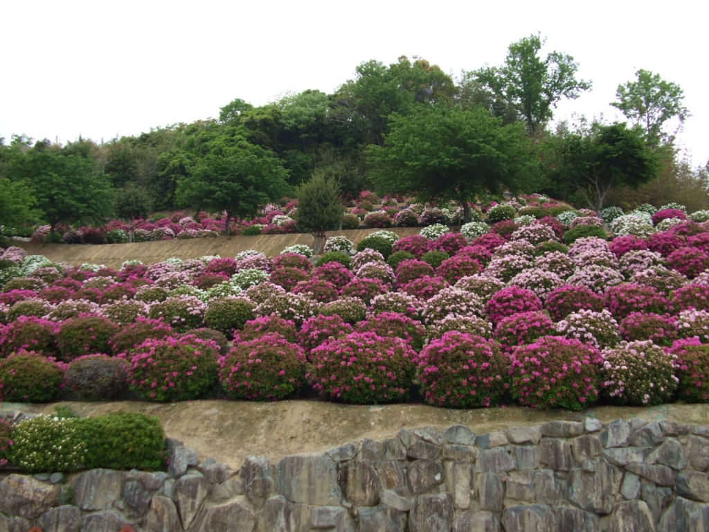 테라무카이 공원
