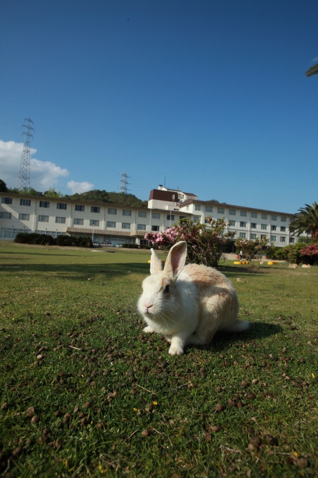 休暇村 大久野島